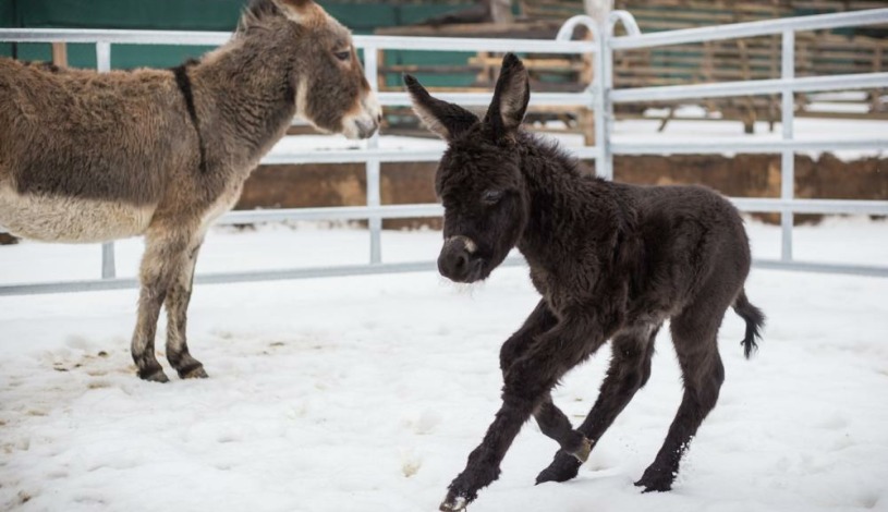 Wellness Hotel Panorama Blansko