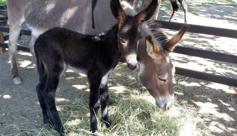 Wellness Hotel Panorama Blansko