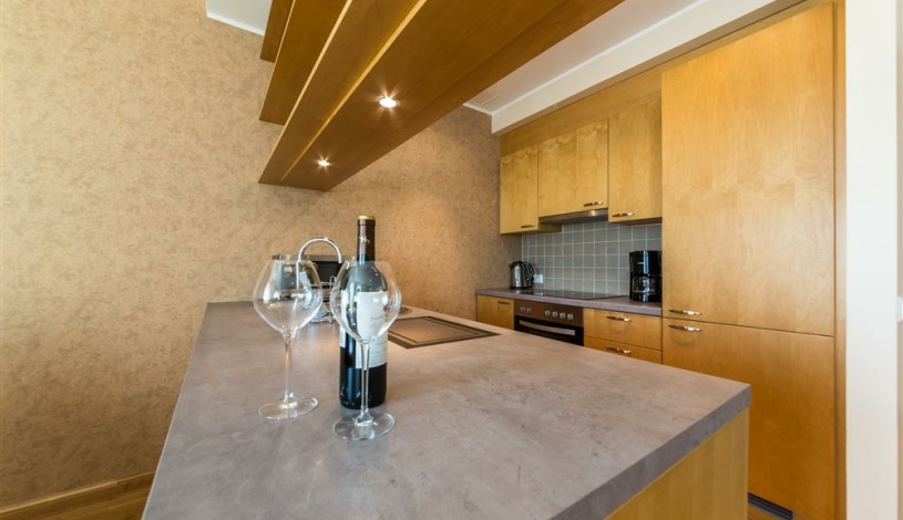 Apartment Pärnu maantee Tallinn - Apt 30073