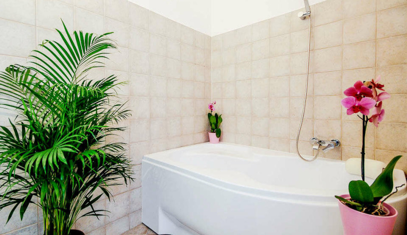 Apartment Paulay Ede utca Budapest - Apt 27049