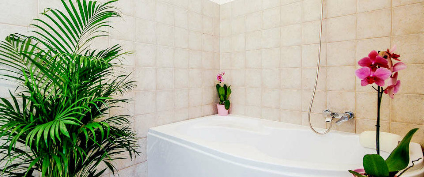 Apartment Paulay Ede utca Budapest - Apt 27049