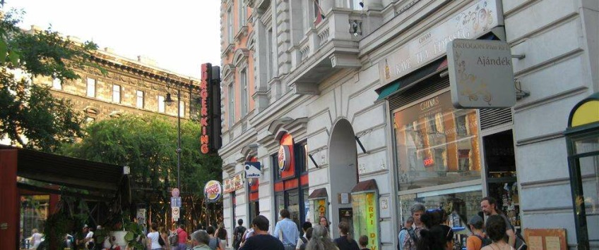 Apartment Paulay Ede utca Budapest - Apt 24138