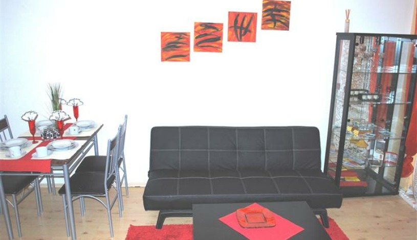Apartment Pazmanitengasse Wien - Apt 20727