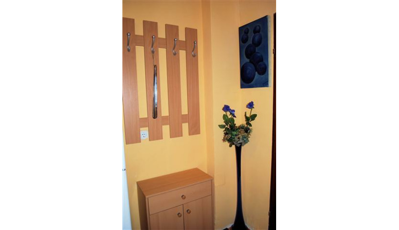 Apartment Pazmanitengasse Wien - Apt 20727