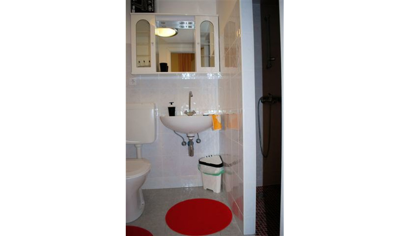 Apartment Pazmanitengasse Wien - Apt 20729