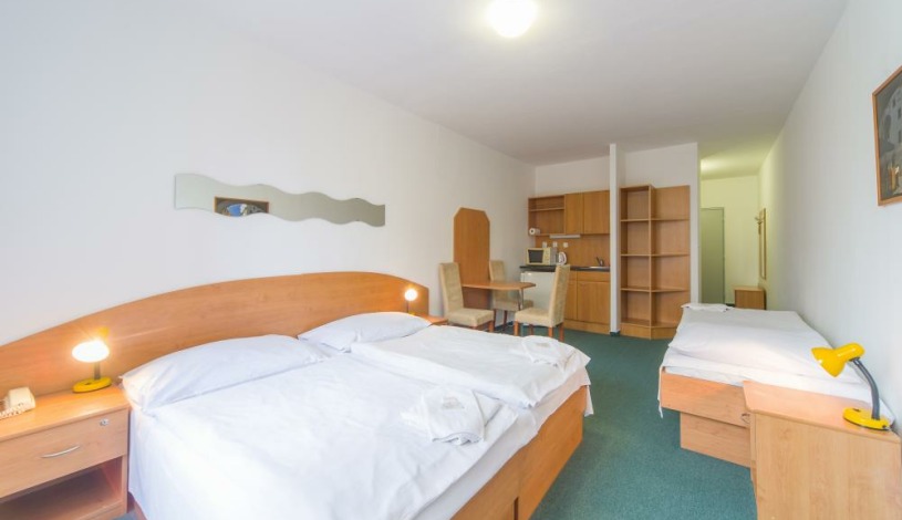 Hotel Arnošt Pardubice