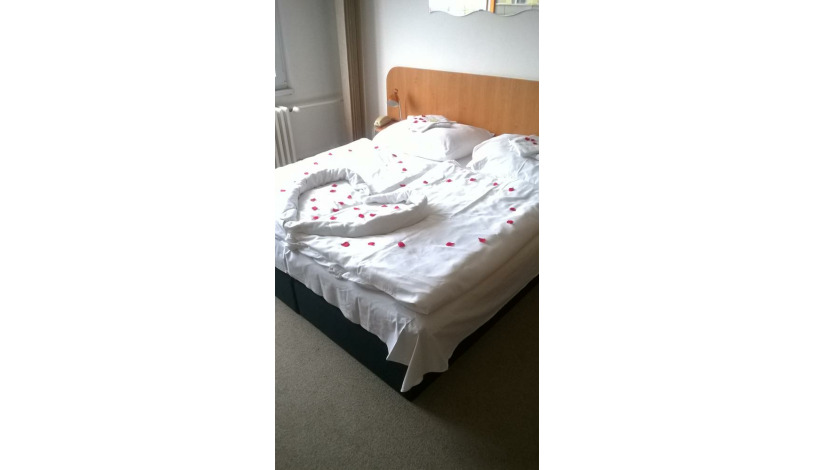 Hotel Arnošt Pardubice - Čtyřlůžkový