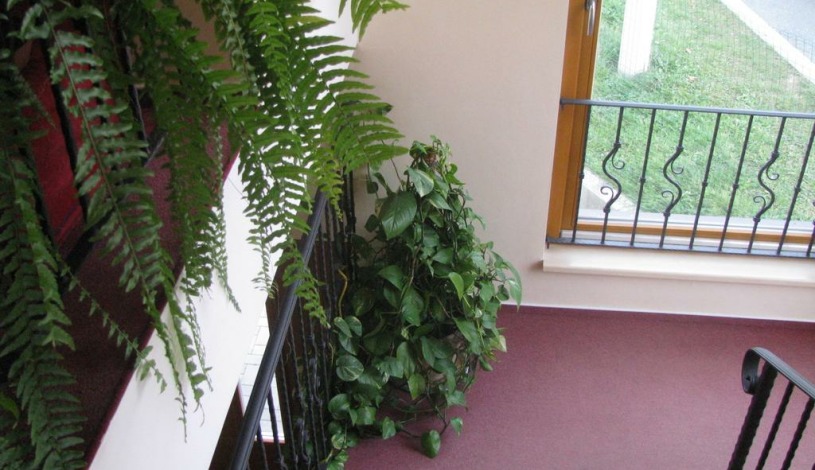 Hotel Signál Pardubice - Dubina