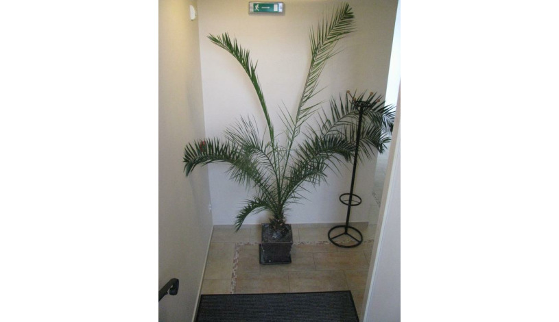 Hotel Signál Pardubice - Dubina