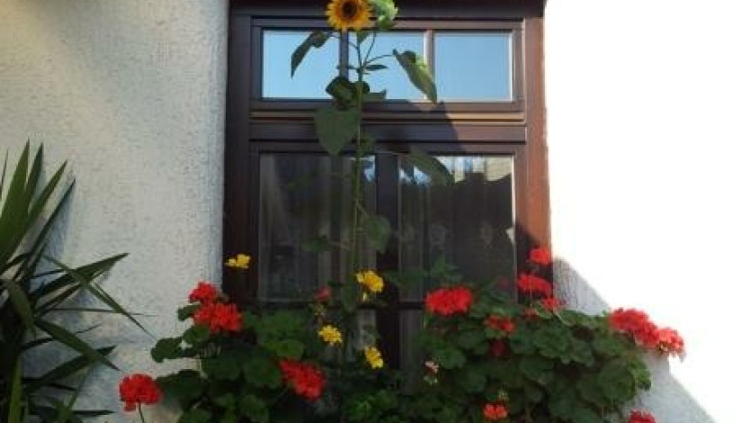 Antik Hotel Sofia Litomyšl