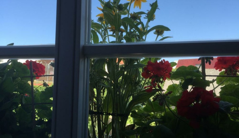 Antik Hotel Sofia Litomyšl