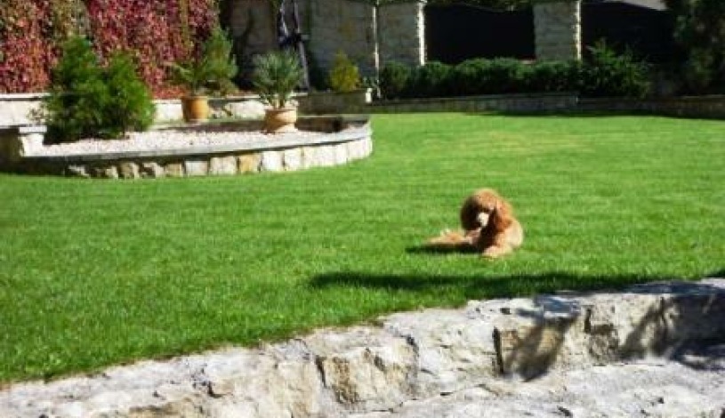 Antik Hotel Sofia Litomyšl