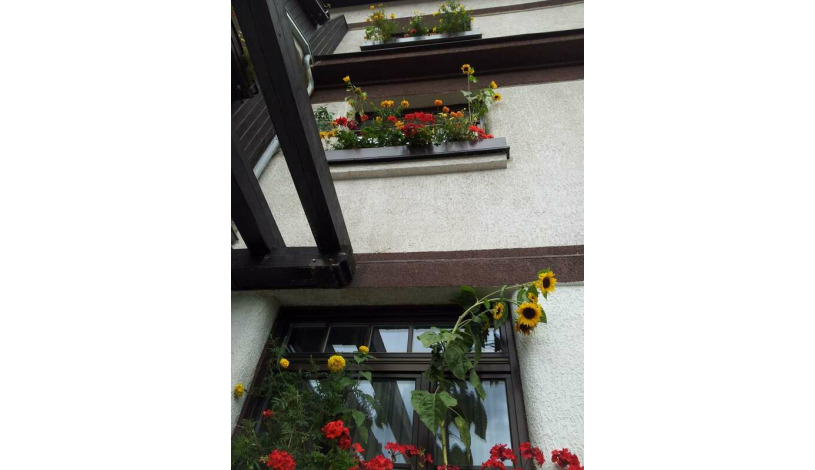 Antik Hotel Sofia Litomyšl