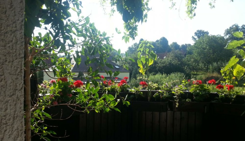 Antik Hotel Sofia Litomyšl