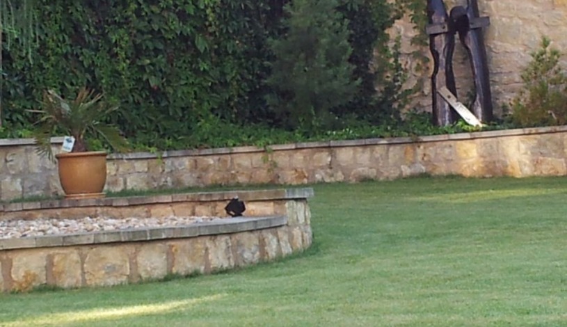 Antik Hotel Sofia Litomyšl