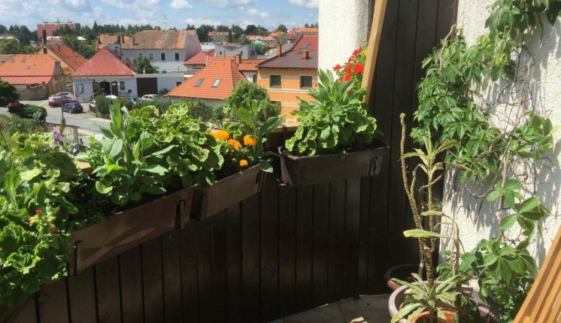 Antik Hotel Sofia Litomyšl