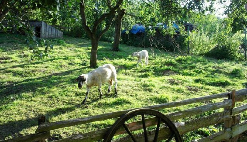 Agropension U háje Litomyšl