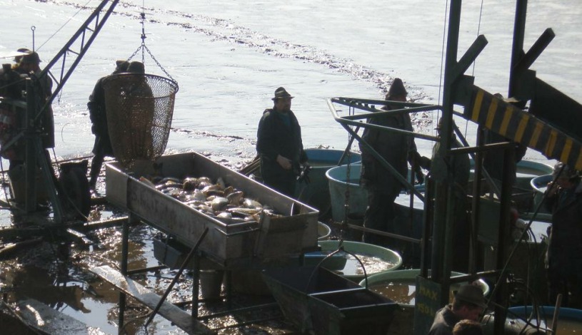 Agropension U háje Litomyšl