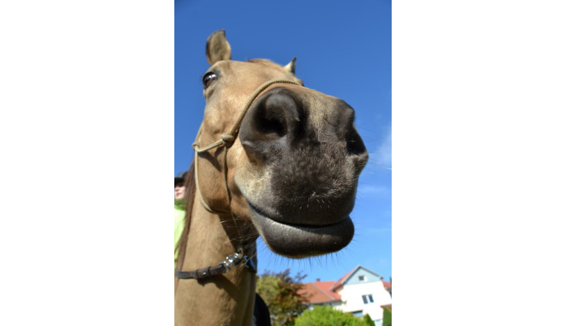 Agropension U háje Litomyšl