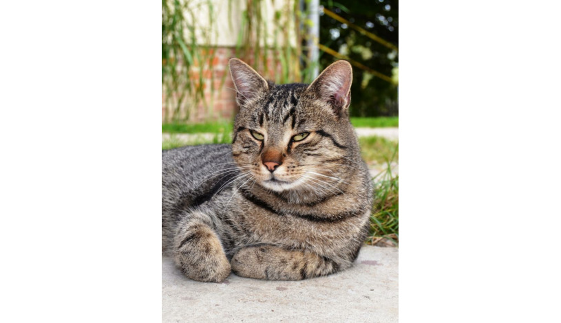 Agropension U háje Litomyšl