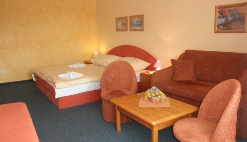 Wellness Pension 7 Harrachov