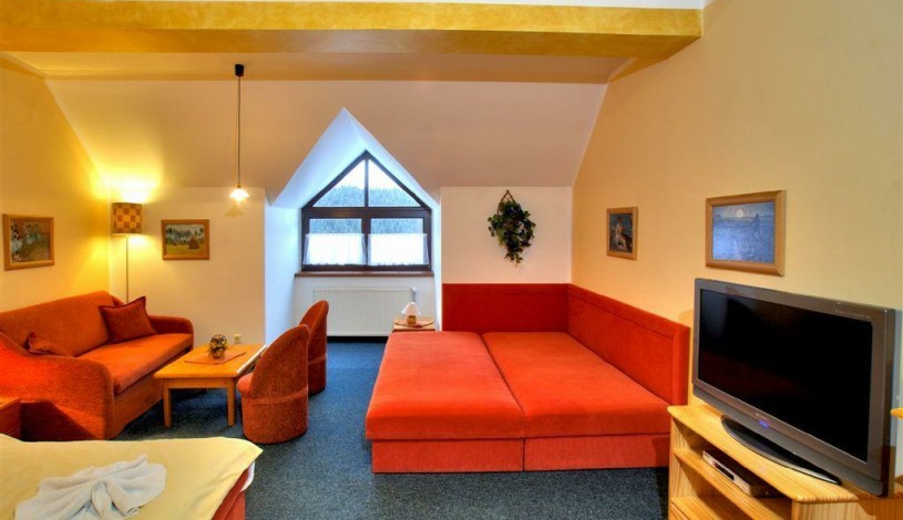 Wellness Pension 7 Harrachov