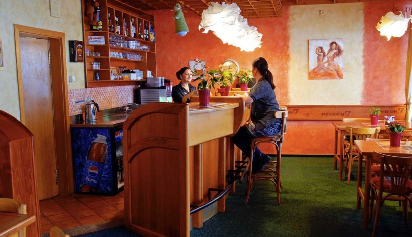 Wellness Pension 7 Harrachov