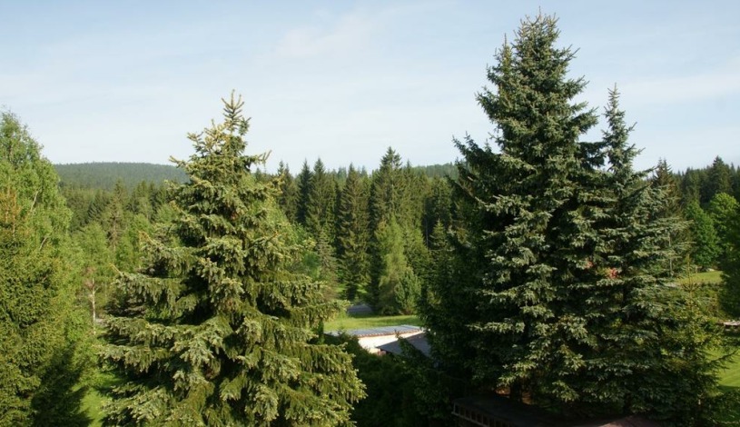 Pension Daberg Harrachov