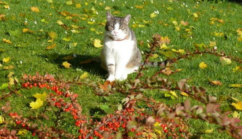 Pension FAMILY Karlovy Vary