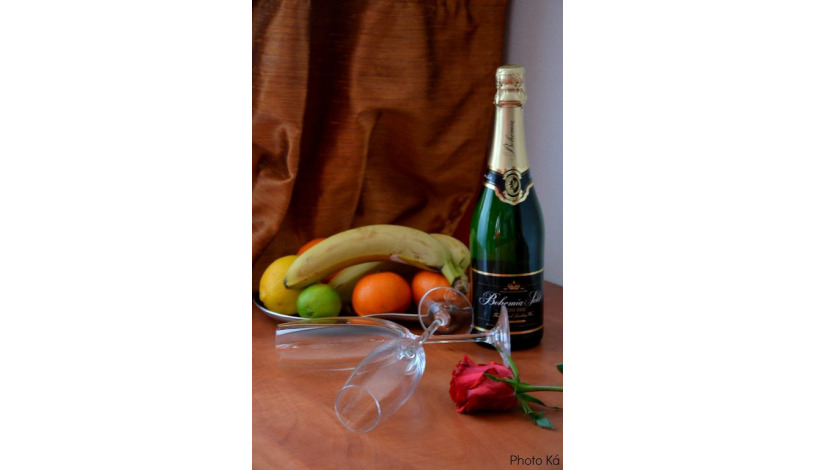 Penzion Galerie Telč Telč