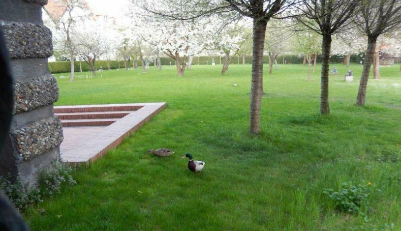 Pension Na Fortně Český Krumlov