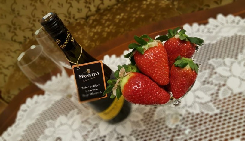 Pension Napoleon Karlovy Vary