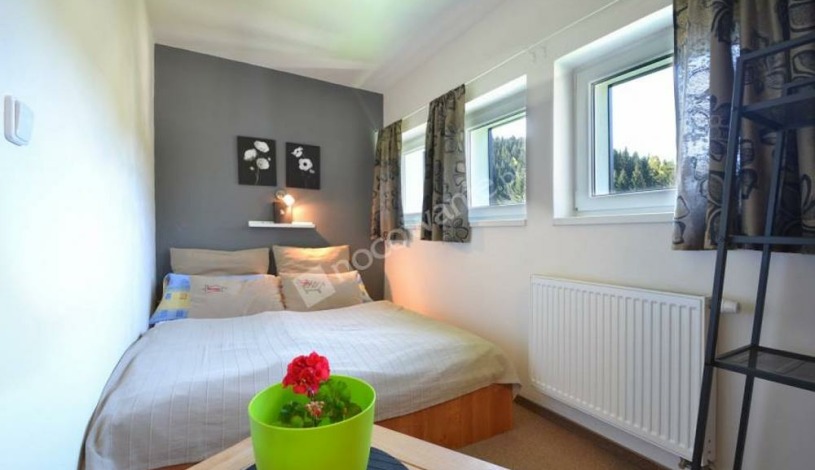 PENSION RENATA,Harrachov