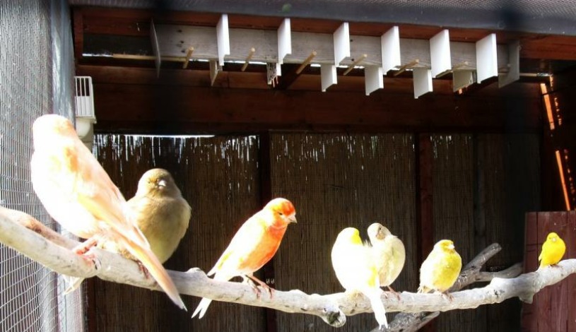 Pension Rybársky Dvor Piešťany