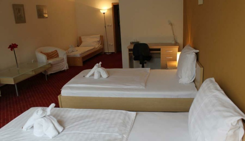 Pension u Jakuba Olomouc - Studio pro 3 osoby