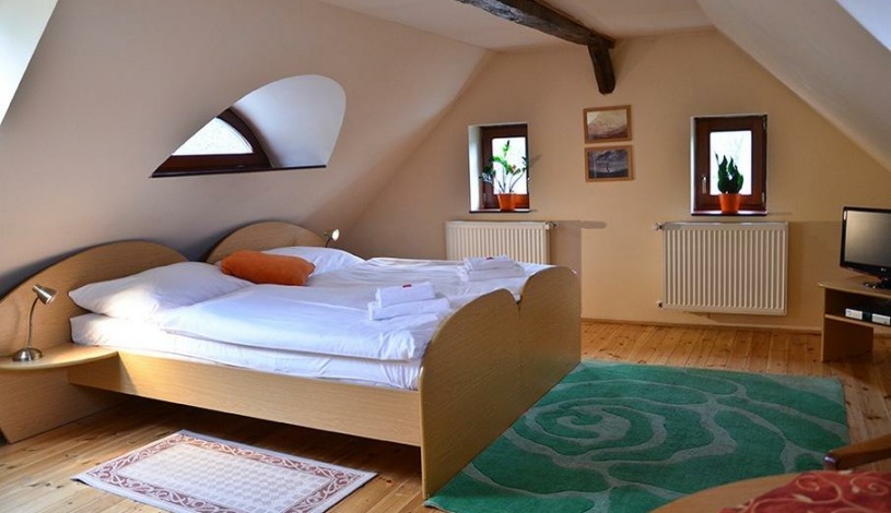 Hotel U Kozičky Teplice - Dvoulůžkový pokoj s výhledem do lesa