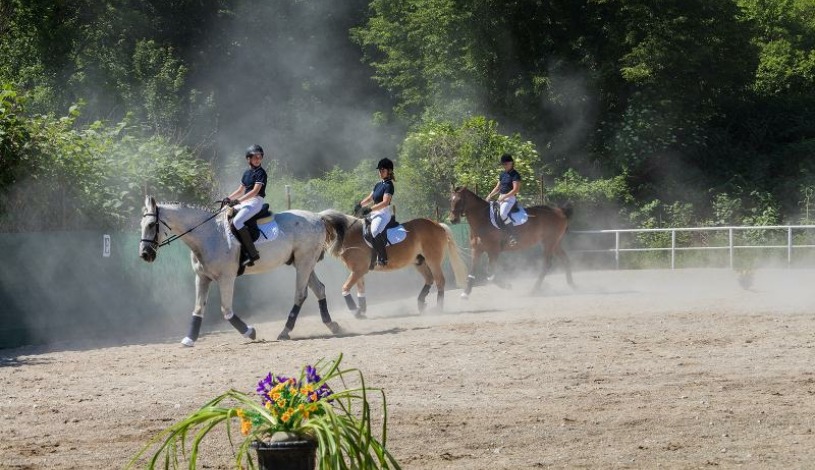 Penzión DRUŽBA** Bojnice