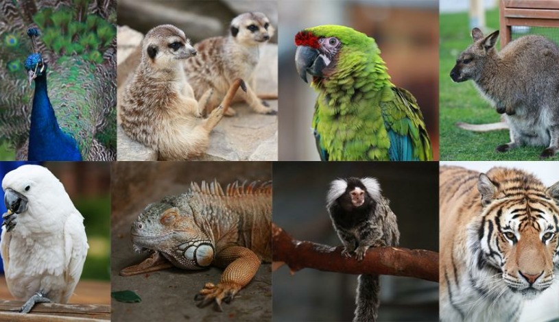 FaunaPark Lipová-lázně