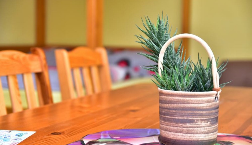 FaunaPark Lipová-lázně