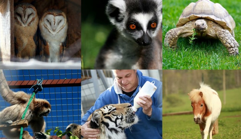 FaunaPark Lipová-lázně