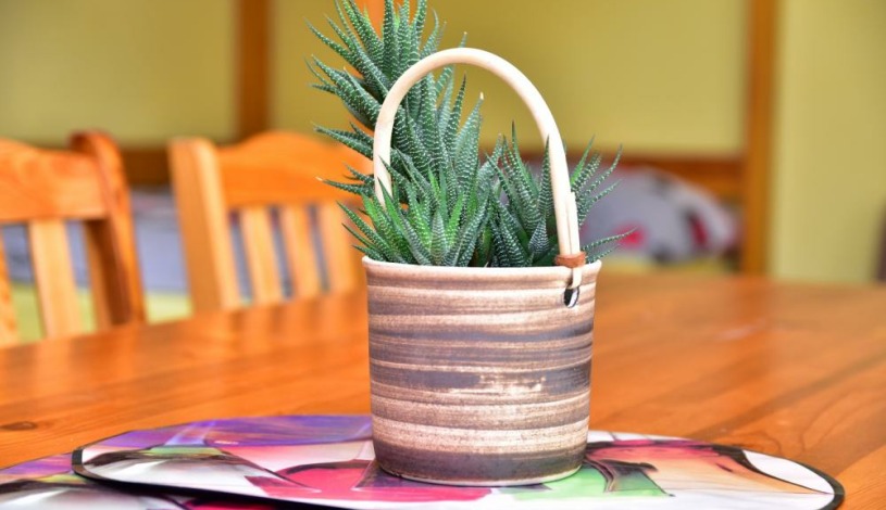 FaunaPark Lipová-lázně