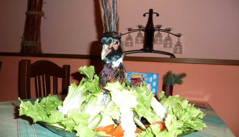 Penzion Gloria Olomouc