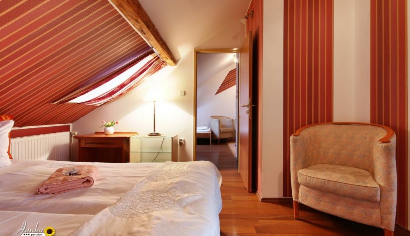Penzion Janka Brno - V.I.P Apartmán s vířivou vanou