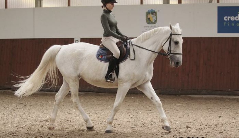 Penzion Jízdárna Suchá Litomyšl