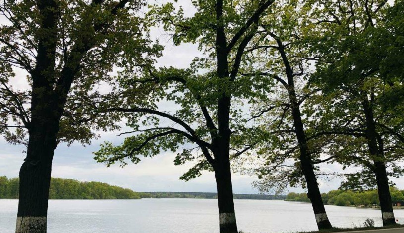 Penzion Maxim Třeboň