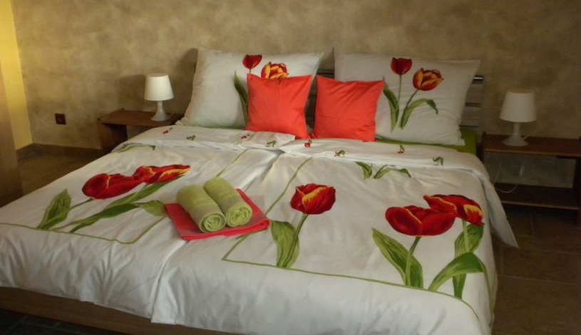 Penzion No. 1 - RESTAURACE TAVERNA U PECE Olomouc