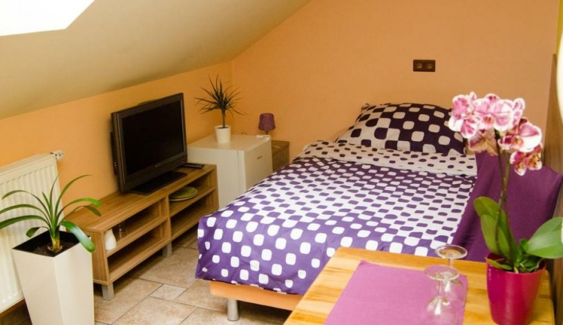 Penzion No. 1 - RESTAURACE TAVERNA U PECE Olomouc