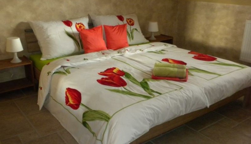 Penzion No. 1 - RESTAURACE TAVERNA U PECE Olomouc