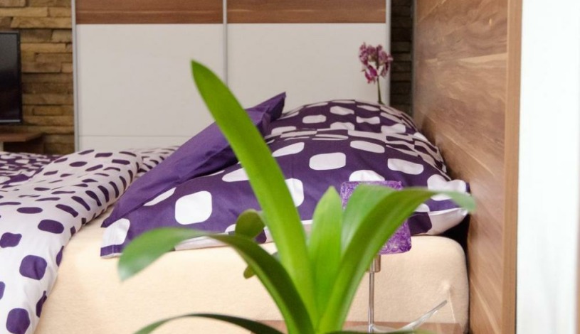 Penzion No. 1 - RESTAURACE TAVERNA U PECE Olomouc