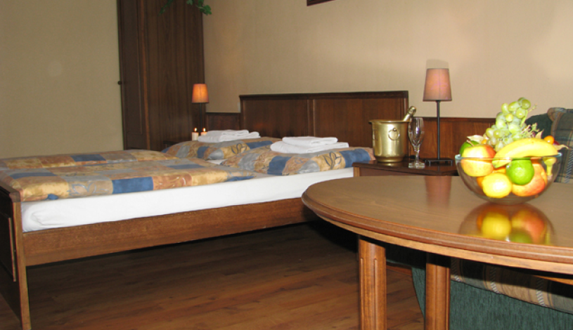 Penzion Pod Kašnou Frýdek-Místek - Apartmán